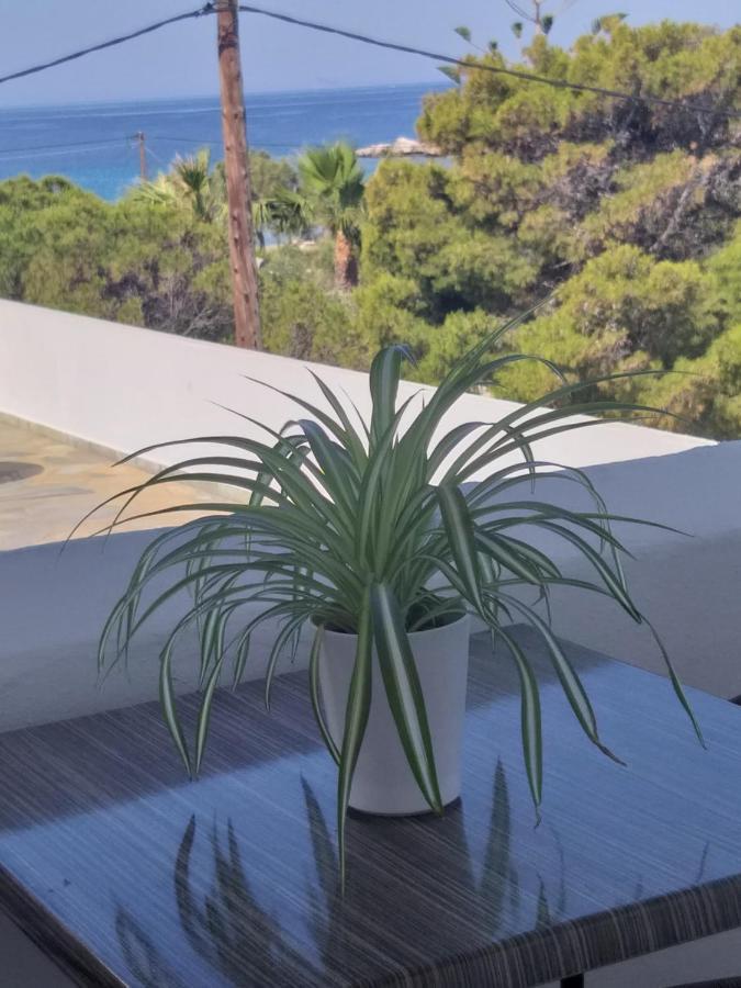 Meltemi Lägenhet Posidhonía Exteriör bild